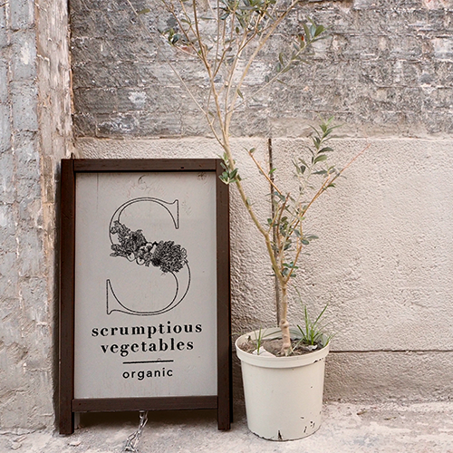 scrumptious vegetablesの画像