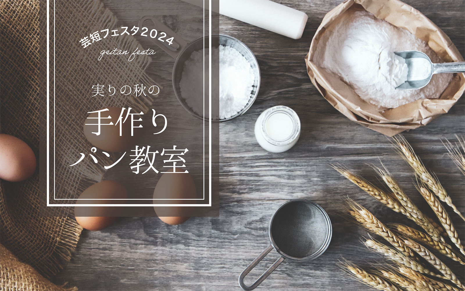 リーフレットアイキャッチの画像