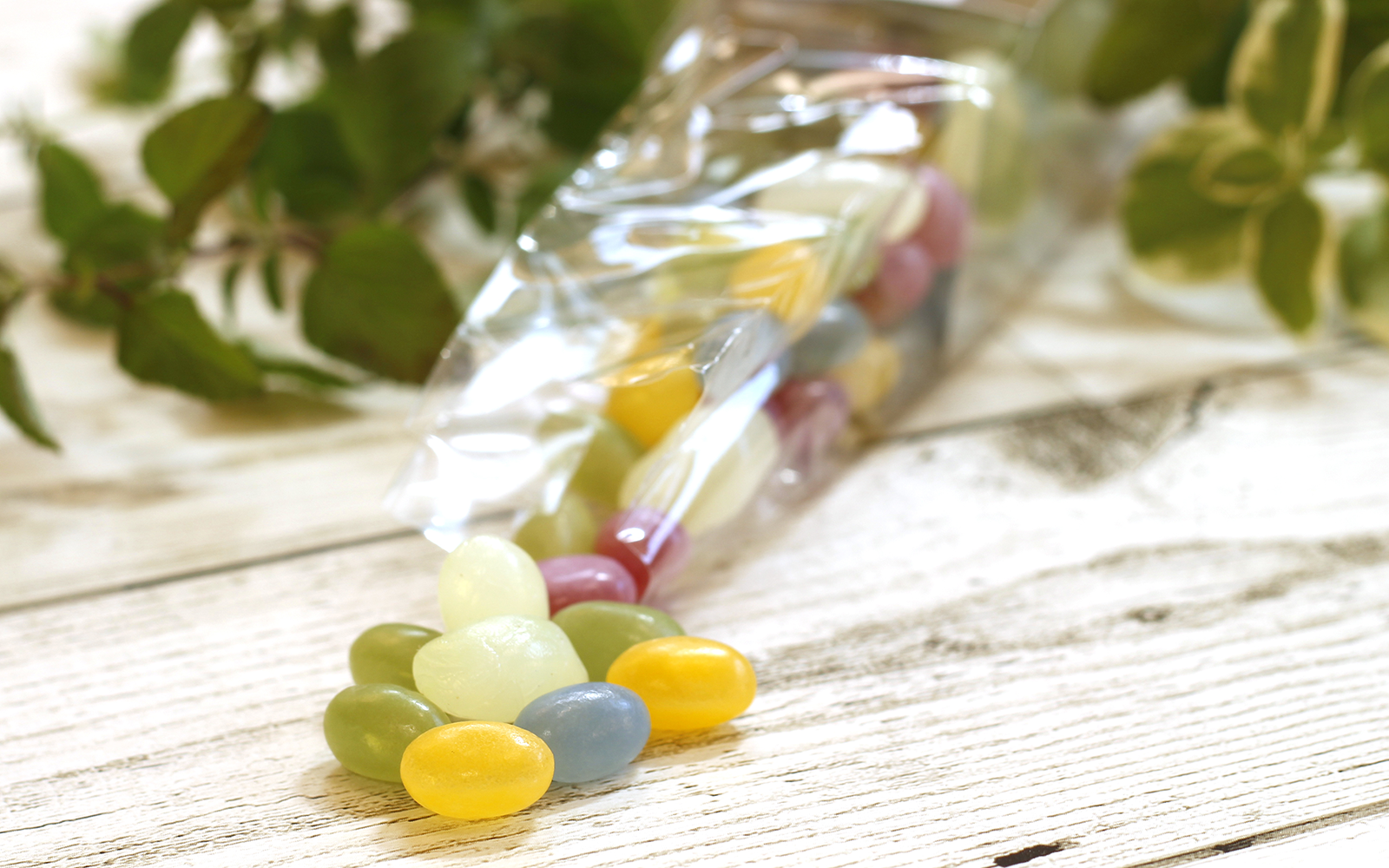 ジェリービーンズの画像